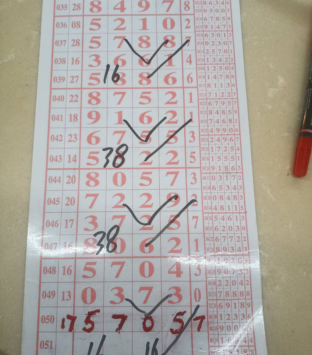 [������] 25051�ڣ������ο�����05��ͼ�桿501 / ����:Ψ�Ҷ���1 / ����ID:1013510