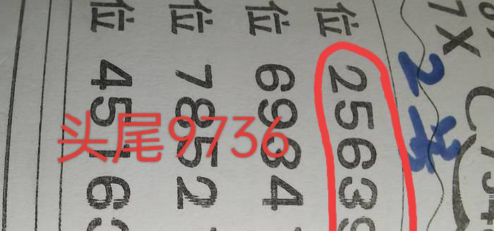 [������] 25052�ڣ������ο� δ�ػ�׼��ͼ�桿194 / ����:������ԵĪ���� / ����ID:1014132