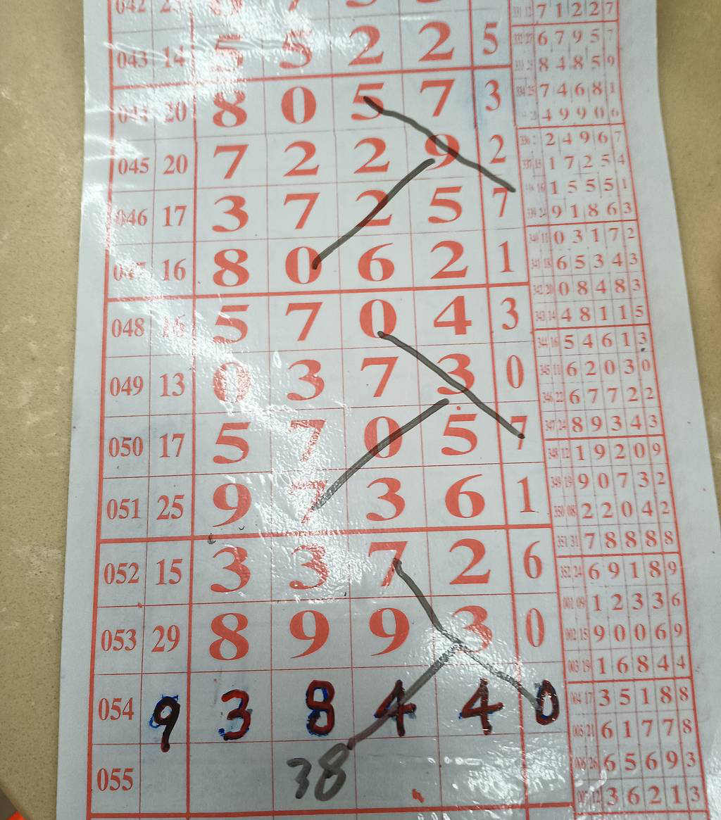 [������] 25055�ڣ������ο� ���� ���롾ͼ�桿77 / ����:ר����ʮ���� / ����ID:1015667