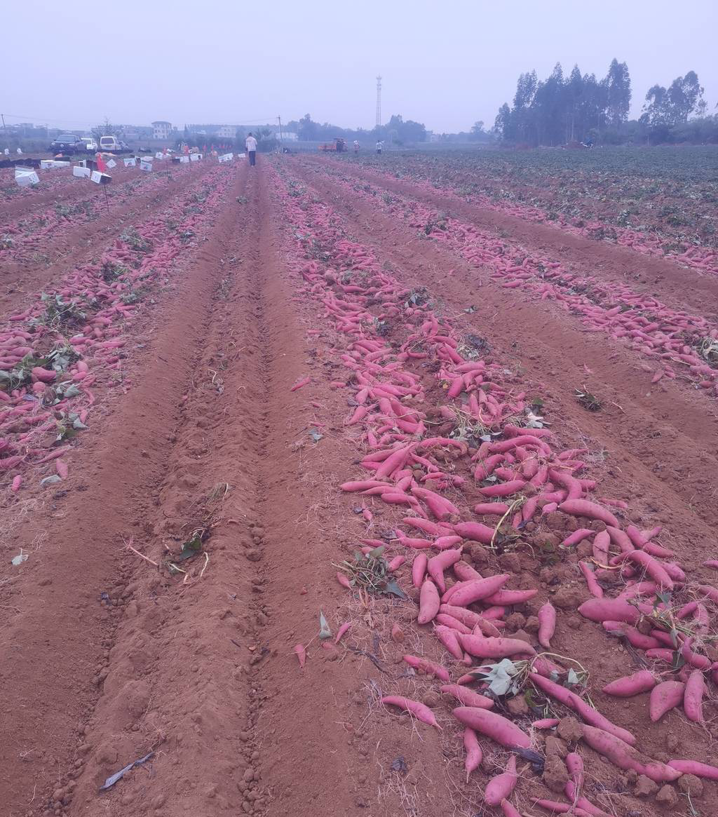 [] 25094ڣλʲô οͼ桿798 / :찬 / ID:1037432