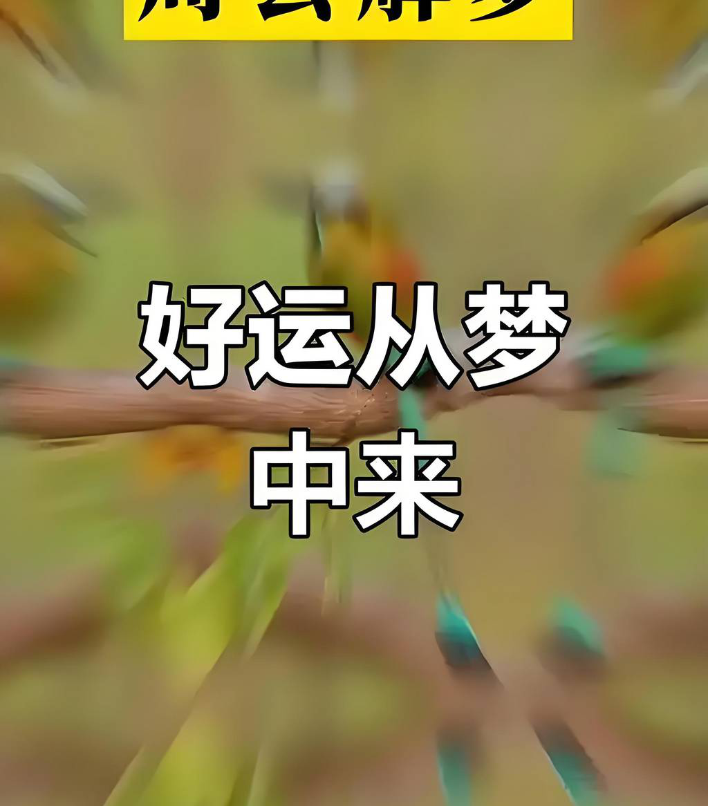 [] 25097ڣεֵԡͼ桿757 / :ɽɽ / ID:1038876