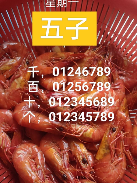 [������] 25335�ڣ�ͼ�������ͼ�桿718 / ����:___��______ / ����ID:1179901