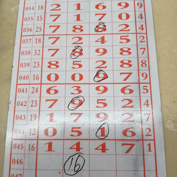 [������] 26046�ڣ������ο����֡�ͼ�桿552 / ����:����2019 / ����ID:1215133