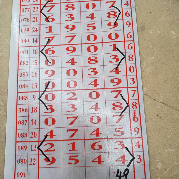 [������] 26091�ڣ������ο� �����ͺá�ͼ�桿285 / ����:�򹤻ʵ� / ����ID:1241095